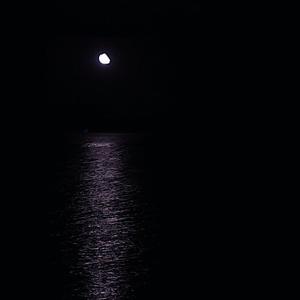 日本动漫无码🔞网站
