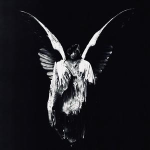 日本动漫无码🔞网站
