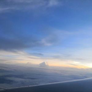 日本动漫无码🔞网站
