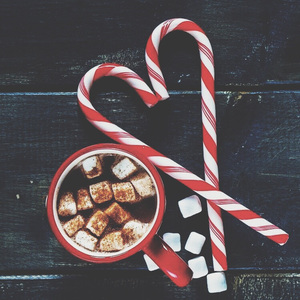 日本动漫无码🔞网站
